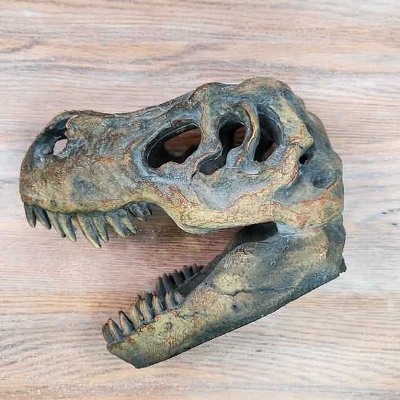 Dinosaur Faux Head for Children's Rokm or anywhere! - Picture 3 of 6